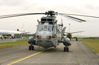seaking 01