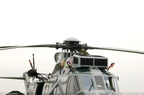 seaking 03