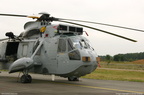 seaking 04