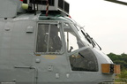 seaking 07