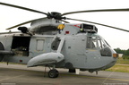 seaking 08