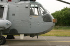 seaking 09