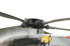 seaking 12