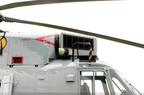 seaking 11