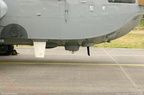 seaking 10