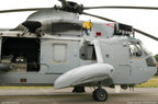 seaking 13